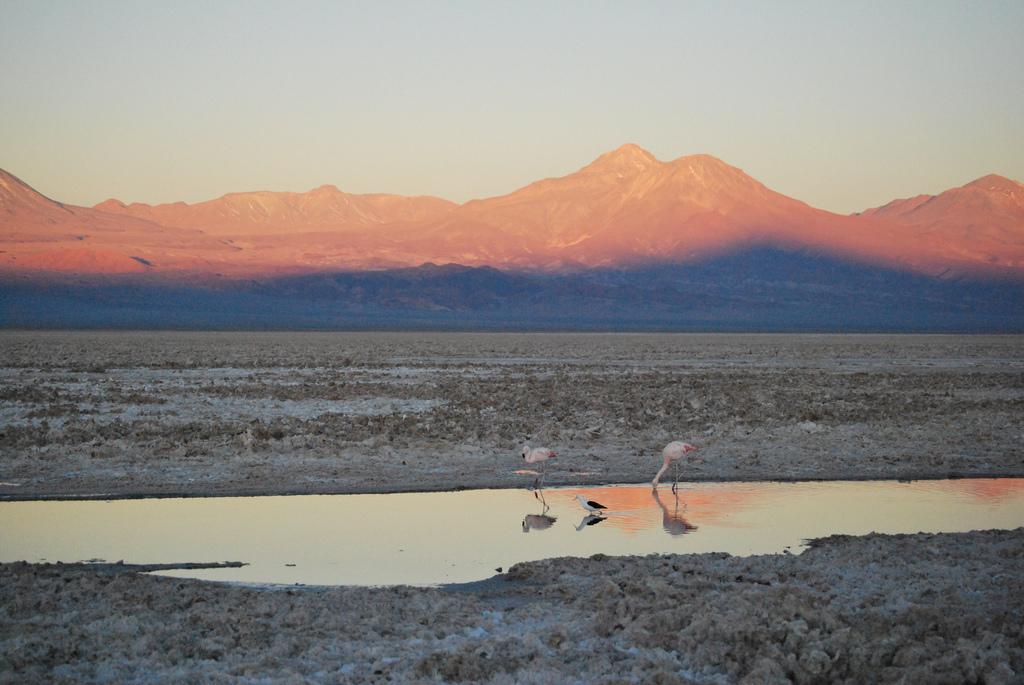 Si amas el turismo, amarás Chile